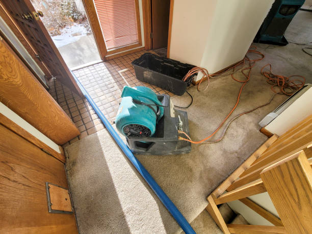 Best Commercial water damage restoration  in Wanamassa, NJ