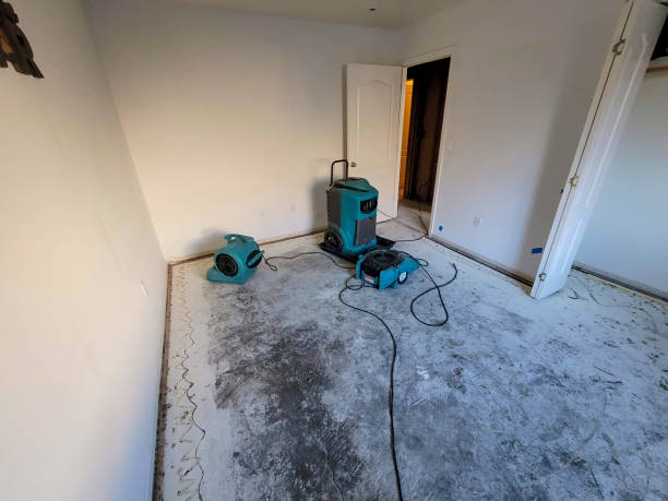 Best Water damage contractors near me  in Wanamassa, NJ