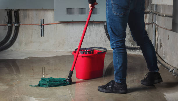  Wanamassa, NJ Water damage restoration Pros