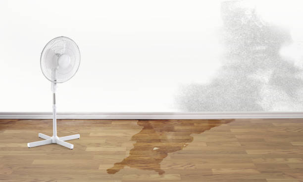 Best Flooded house restoration  in Wanamassa, NJ