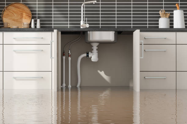 Best Water damage restoration insurance claims  in Wanamassa, NJ