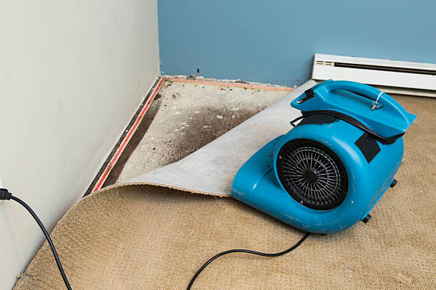 Best Water damage cleanup near me  in Wanamassa, NJ